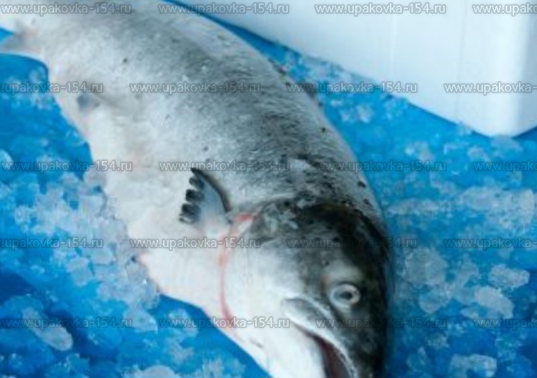 Влаговпитывающие салфетки для рыбы синего цвета в ящик