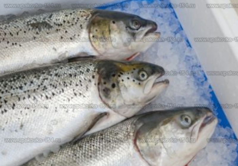 Влаговпитывающие салфетки для рыбы синего цвета в ящик